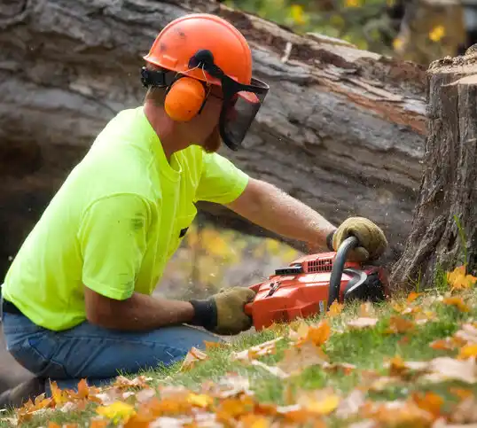 tree services Hillsboro